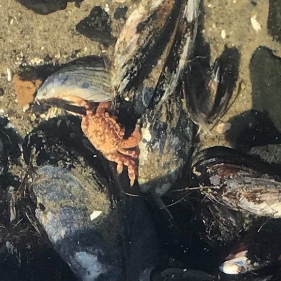 Meet your Posher, Theresa - Picture 2 of 2